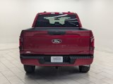 New 2025 Ford F150 STX w/ STX Black Appearance Package image 6
