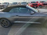 Used 2023 Ford Mustang Premium image 4