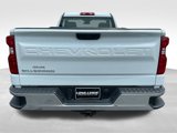 Used 2024 Chevrolet Silverado 1500 W/T w/ WT Fleet Convenience Package image 4