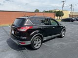 Used 2013 Ford Escape SE image 6