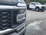New 2026 Ford F450 Platinum w/ Platinum Plus Package image 4