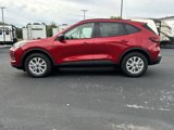 New 2025 Ford Escape Active w/ Active Premium Tech Pack image 4