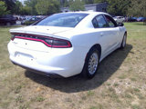 Used 2019 Dodge Charger Police w/ Fleet Safety Group image 4