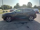 Used 2020 Lexus NX 300 AWD w/ Premium Package image 5