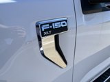 New 2025 Ford F150 XLT w/ Equipment Group 302A MID image 4