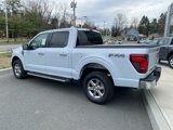 New 2025 Ford F150 XLT w/ Equipment Group 302A MID image 3