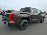 New 2025 Toyota Tundra 1794 Edition image 6