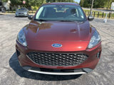 Used 2021 Ford Escape S image 3