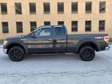 Used 2011 Ford F150 XLT w/ XLT Chrome Pkg image 3