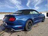 Used 2022 Ford Mustang Premium image 5