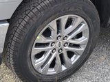 New 2025 Ford F150 XLT w/ Equipment Group 302A MID image 5