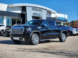 New 2025 GMC Sierra 1500 Denali image 3