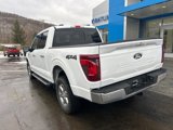 New 2025 Ford F150 XLT w/ Equipment Group 302A MID image 5