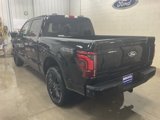 New 2025 Ford F150 Platinum image 3