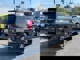 New 2025 Ford Expedition Platinum w/ Platinum Ultimate Package image 4