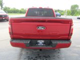 New 2025 Ford F150 XLT image 6