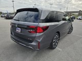 New 2025 Honda Odyssey Elite image 6
