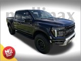 New 2025 Ford F150 Raptor image 1