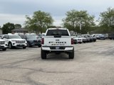 New 2025 Ford F150 STX w/ Equipment Group 200A image 4