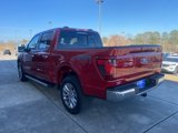 New 2025 Ford F150 XLT w/ Equipment Group 302A MID image 5