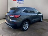 Used 2021 Ford Escape SE w/ Convenience Package image 5
