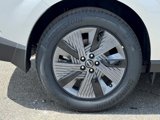 New 2025 Nissan Murano SL image 5