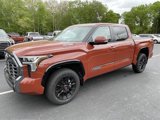 New 2025 Toyota Tundra Platinum image 4