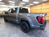 New 2025 Ford F150 Platinum image 5