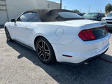 Used 2019 Ford Mustang Premium image 5
