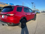 New 2025 Honda Pilot TrailSport image 4