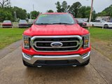 Used 2021 Ford F150 XLT w/ Equipment Group 302A High image 2