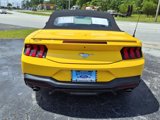 Used 2024 Ford Mustang Premium image 2