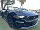 Used 2020 Ford Mustang Premium image 3