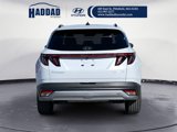 New 2025 Hyundai Tucson Limited image 4