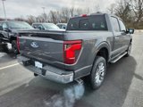 New 2025 Ford F150 XLT w/ Equipment Group 302A MID image 3