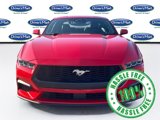 Used 2024 Ford Mustang Premium image 2