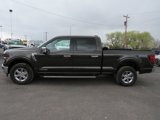 Certified 2024 Ford F150 XLT w/ Equipment Group 302A MID image 3
