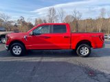 Used 2023 Ford F150 XLT image 5