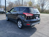 Used 2016 Ford Escape SE image 6