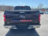 Used 2019 Ford F150 XLT w/ Equipment Group 302A Luxury image 6