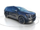New 2025 Kia Carnival SX Prestige image 4