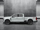 New 2025 Ford F250 Platinum image 3