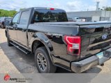 Used 2018 Ford F150 XLT w/ Equipment Group 302A Luxury image 4