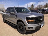 New 2025 Ford F150 XLT image 4