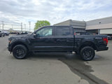 New 2025 Ford F150 STX image 4