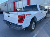 Used 2021 Ford F150 XLT w/ Equipment Group 301A Mid image 4