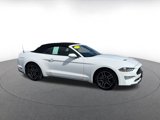 Used 2023 Ford Mustang Premium image 2