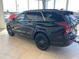 New 2025 Hyundai Palisade Calligraphy image 2