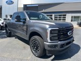 New 2025 Ford F250 Platinum image 2