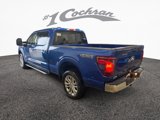 New 2025 Ford F150 XLT w/ Equipment Group 303A High image 4